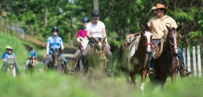 Eco Safari dans la nature sauvage et préservé du Costa Rica - Caval&go