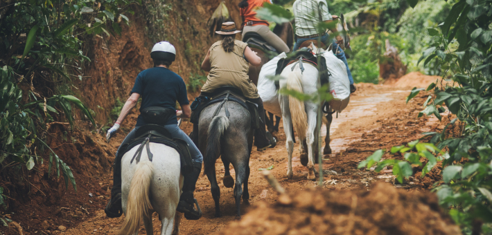 Eco Safari dans la nature sauvage et préservé du Costa Rica - Caval&go