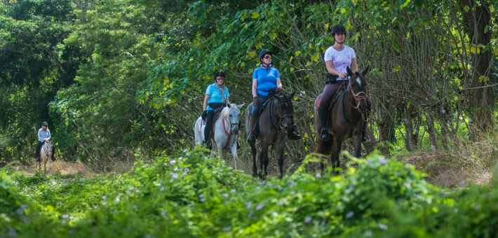 Aventure équestre de la côte Pacifique à la côte Caraïbes au Costa Rica - Caval&go