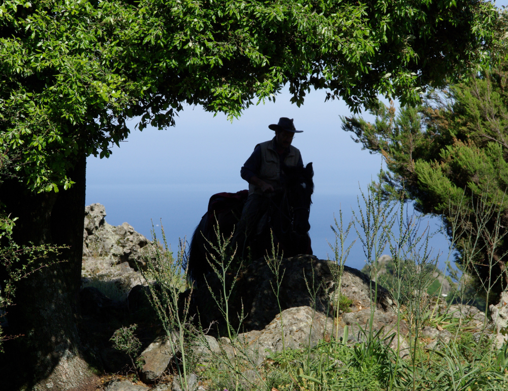 Randonnée à cheval de la mer à la montagne en Corse