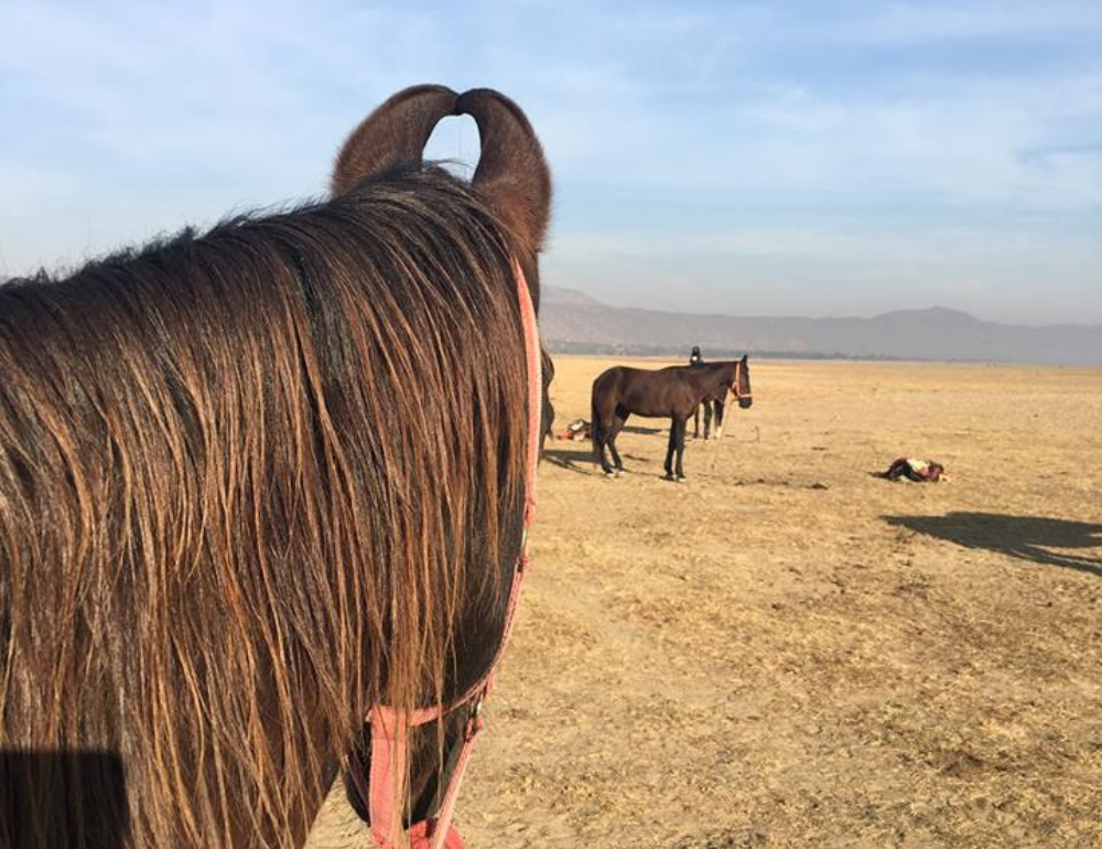 Randonnée à cheval dans le désert du Shekhawati en Inde 