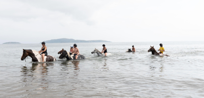 Aventures équestres sur la côte d