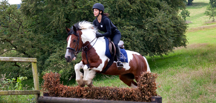 Apprendre à monter à cheval au château en Irlande - Caval&go