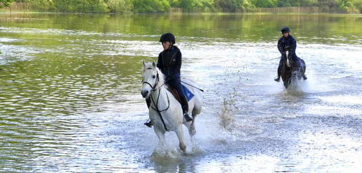 Apprendre à monter à cheval au château en Irlande - Caval&go