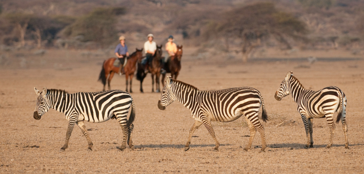 Safari équestre et multi activités en lodge de luxe au pied du Kilimandjaro - Caval&go