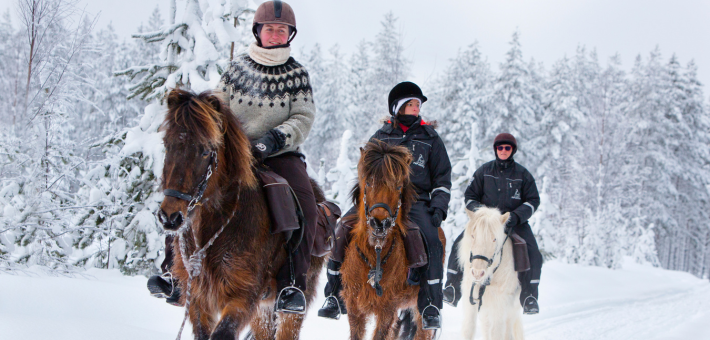 Séjour à cheval dans la neige, avec chiens de traîneau, ski et randonnée en Laponie suédoise - Caval&go