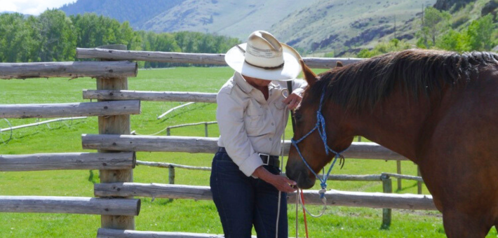 Séjour en ranch à la découverte de la méthode Parelli dans le Montana - Caval&go