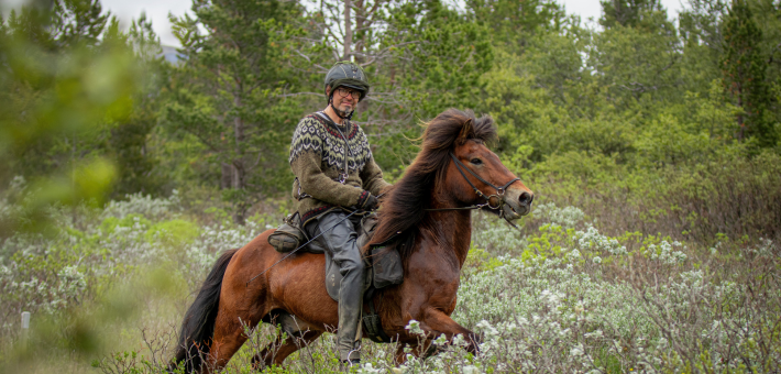 Randonnée équestre et convoyage de chevaux à travers le sud sauvage de l