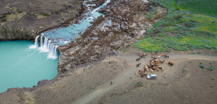 Randonnée équestre et convoyage de chevaux à travers le sud sauvage de l