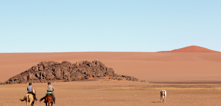 Randonnée équestre au cœur du désert Skeleton Coast en Namibie - Caval&go