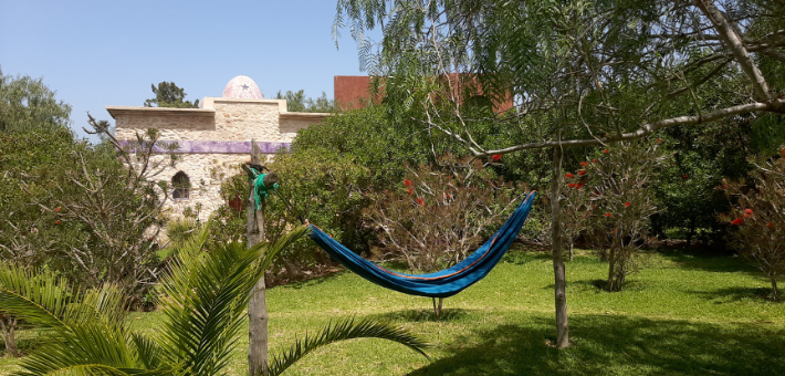 Stage Yoga et bien-être sur Essaouira - Zen&go