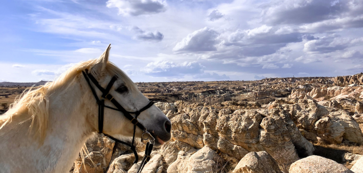 Chevauchée à travers la Cappadoce du Nord - Caval&go