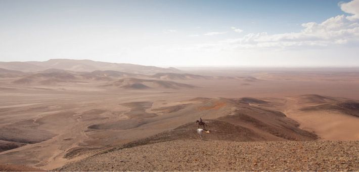 Randonnée équestre au cœur du désert Skeleton Coast en Namibie - Caval&go