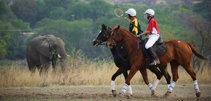 Séjour écovolontaire dans une réserve au Zimbabwe - Caval&go