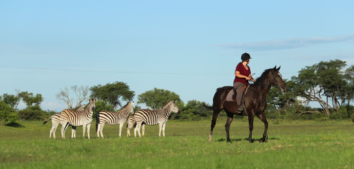 Séjour écovolontaire dans une réserve au Zimbabwe - Caval&go