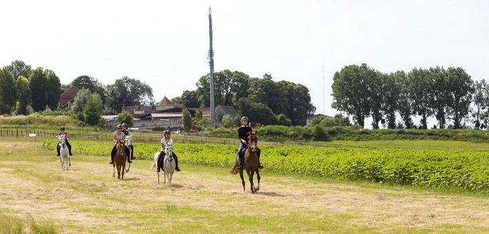 Week-end de charme et endurance équestre en forêt de Chantilly - Caval&go