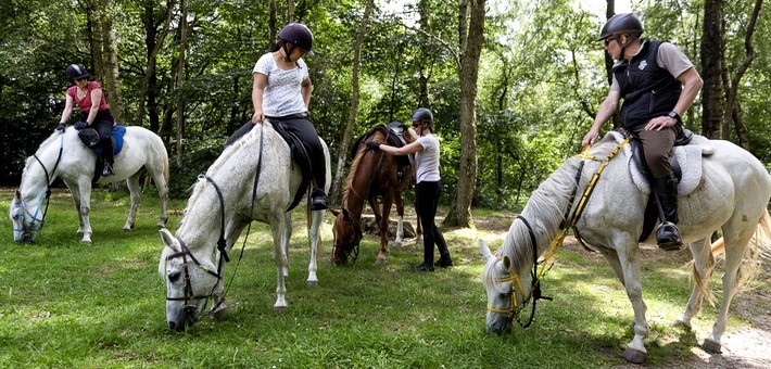 Week-end de charme et endurance équestre en forêt de Chantilly - Caval&go