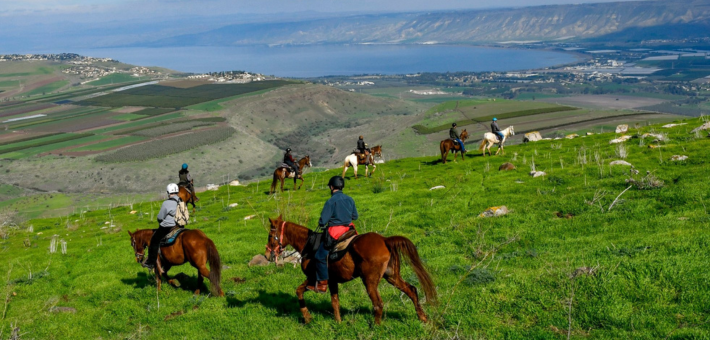 Explorer la Galilée à cheval - Caval&go