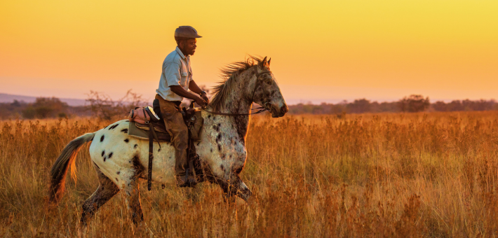 Safari exploration des richesses de l