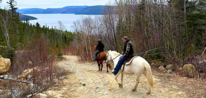 Séjour équestre au Québec, au pays des chevaux et des baleines - Caval&go