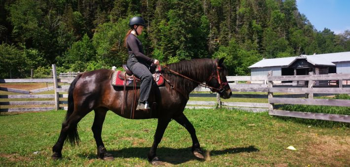 Séjour équestre au Québec, au pays des chevaux et des baleines - Caval&go