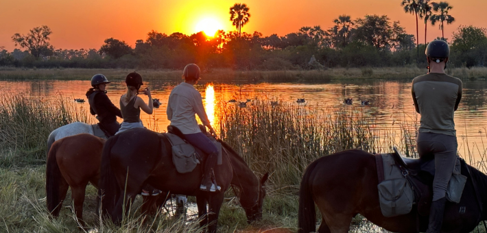 Safari à cheval autour du Cha Cha Metsi au Botswana - Caval&go