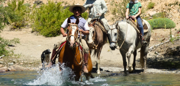 Randonnée équestre et expédition dans les steppes sauvages de Patagonie - Caval&go