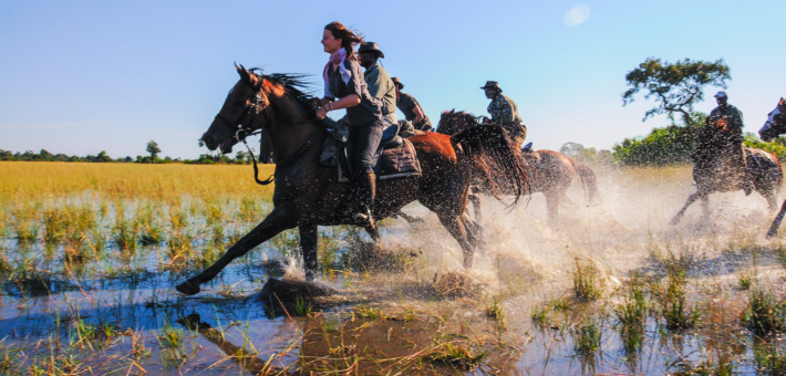 Safari exploration des richesses de l