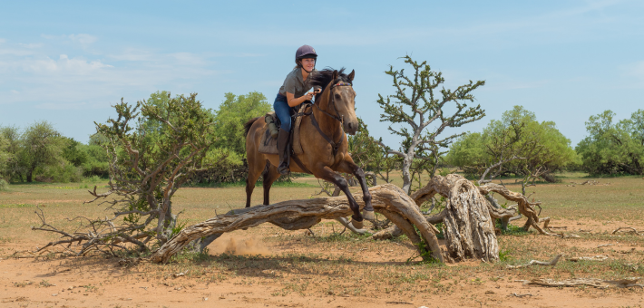 Safari à cheval au Botswana, immersion en terre sauvage d