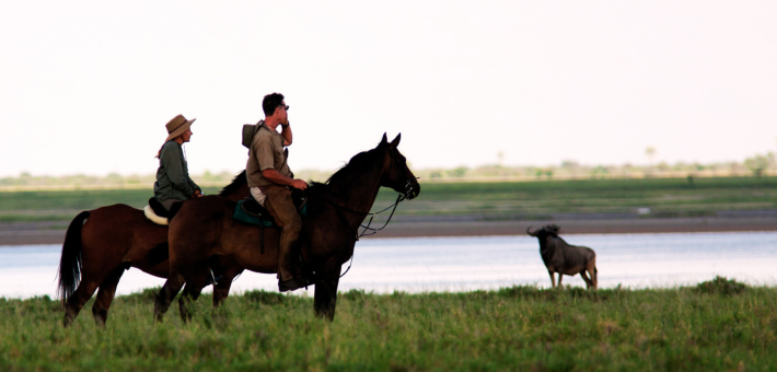 Safari à cheval autour du Cha Cha Metsi au Botswana - Caval&go