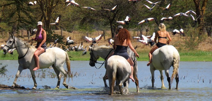 Safari à cheval au Kenya, dans le Parc du Masaï Mara - Caval&go