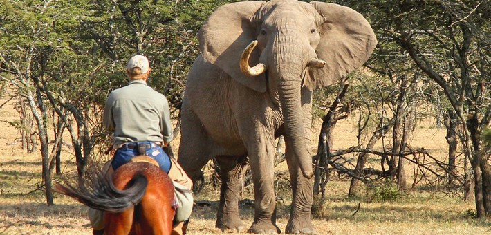 Safari à cheval au Kenya, dans le Parc du Masaï Mara - Caval&go