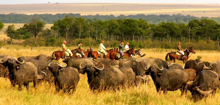 Safari à cheval au Kenya, dans le Parc du Masaï Mara - Caval&go