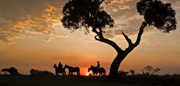 Safari à cheval au Kenya, dans le Parc du Masaï Mara - Caval&go