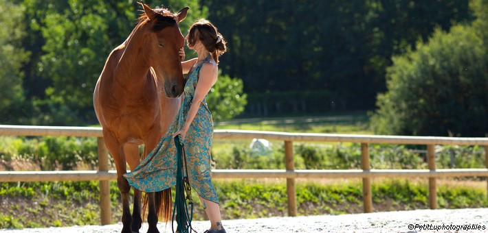 Séjour thérapie, méditation et bien-être pour le cheval - Caval&go