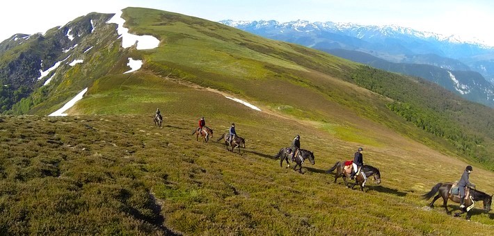 Transhumance des chevaux Mérens dans les Pyrénées