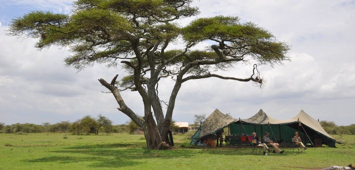 La grande migration du Serengeti à cheval en Tanzanie - Caval&go