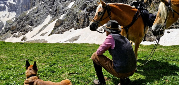 Randonnée équestre expérience dans les Dolomites - Caval&go