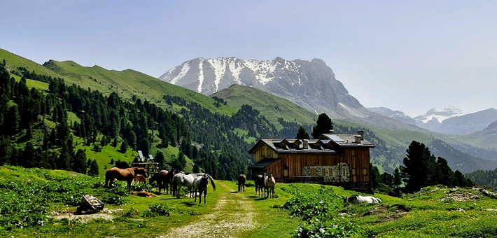 Randonnée équestre expérience dans les Dolomites - Caval&go