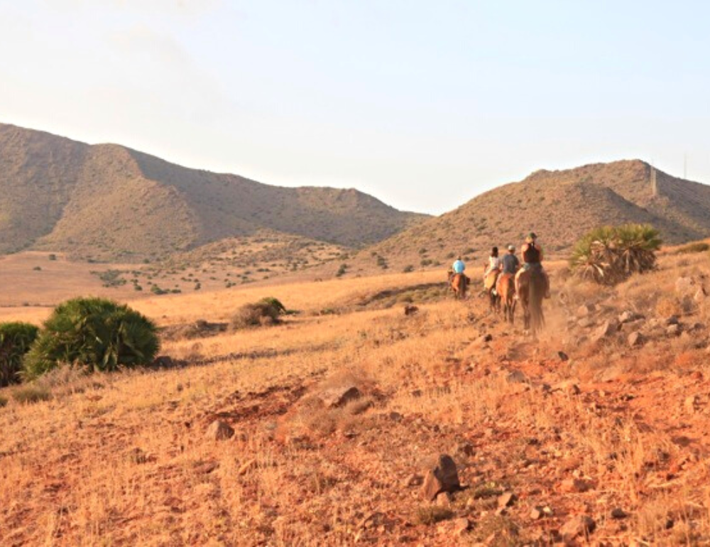 Séjour à cheval et découverte de la méthode Parelli en Andalousie