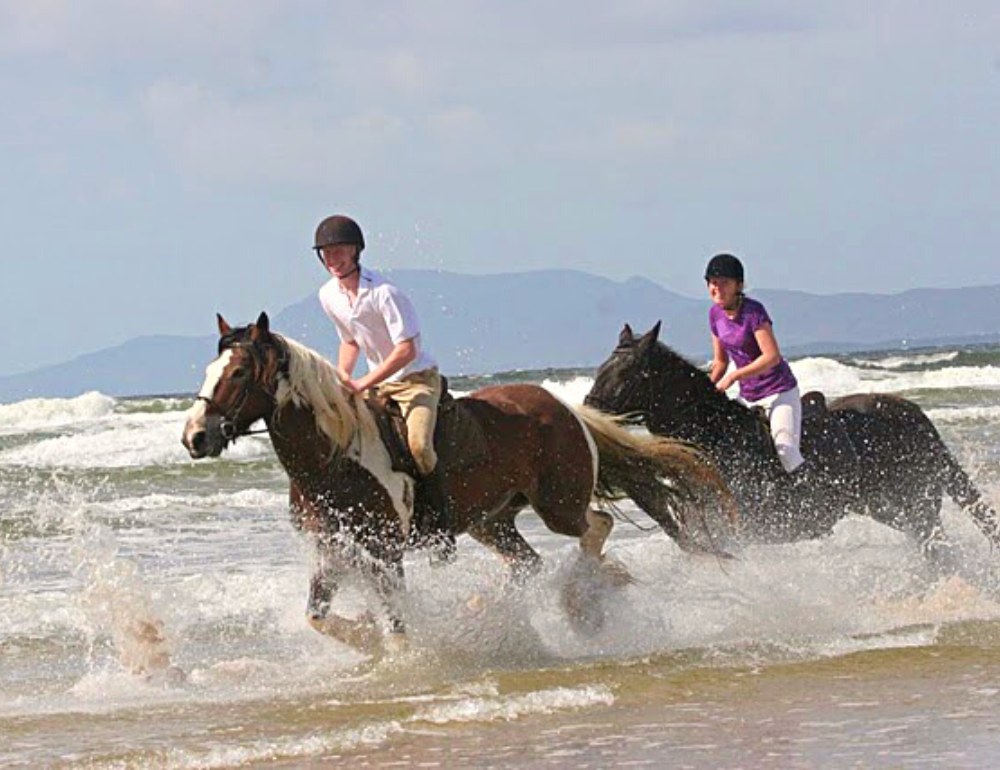 Stage équitation 12-17 ans & Séjour linguistique d'anglais en Irlande