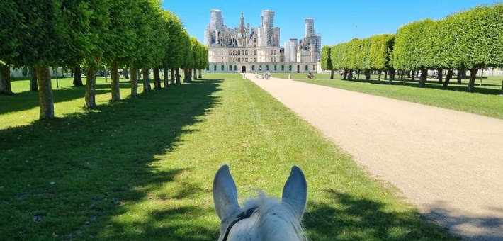 Week-end à cheval dans la Loire : un jour, un château - Caval&go