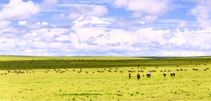 La grande migration du Serengeti à cheval en Tanzanie - Caval&go