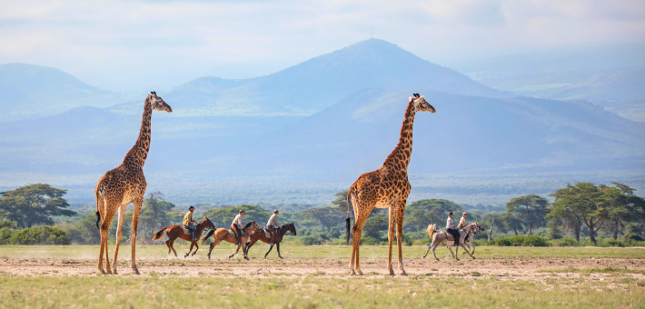 Safari à cheval sur les traces des éléphants du Kilimandjaro - Tanzanie - Caval&go