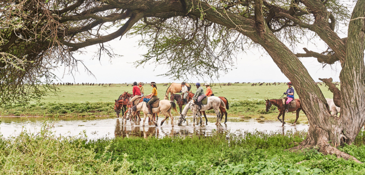 La grande migration du Serengeti à cheval en Tanzanie - Caval&go