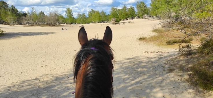 Week-end à cheval en forêt de Fontainebleau - Caval&go