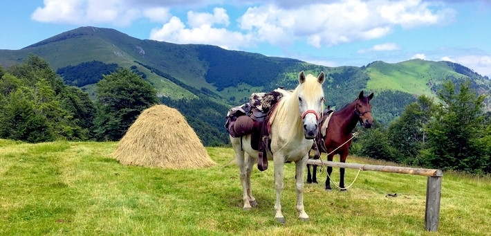 Randonnée équestre au Monténégro et découverte des parcs naturels et des lacs - Caval&go