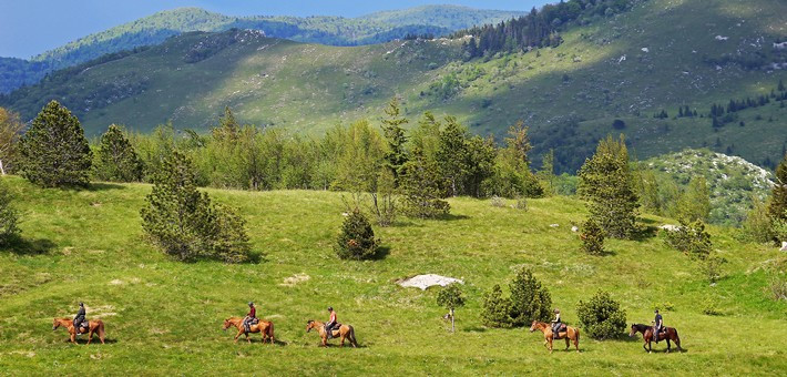 Randonnée équestre à travers le Karst Slovène - Caval&go