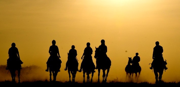 Safari à cheval sur les traces des éléphants du Kilimandjaro - Tanzanie - Caval&go