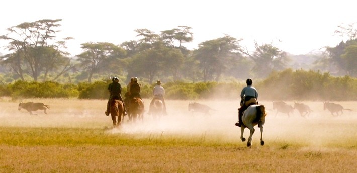 Safari à cheval sur les traces des éléphants du Kilimandjaro - Tanzanie - Caval&go